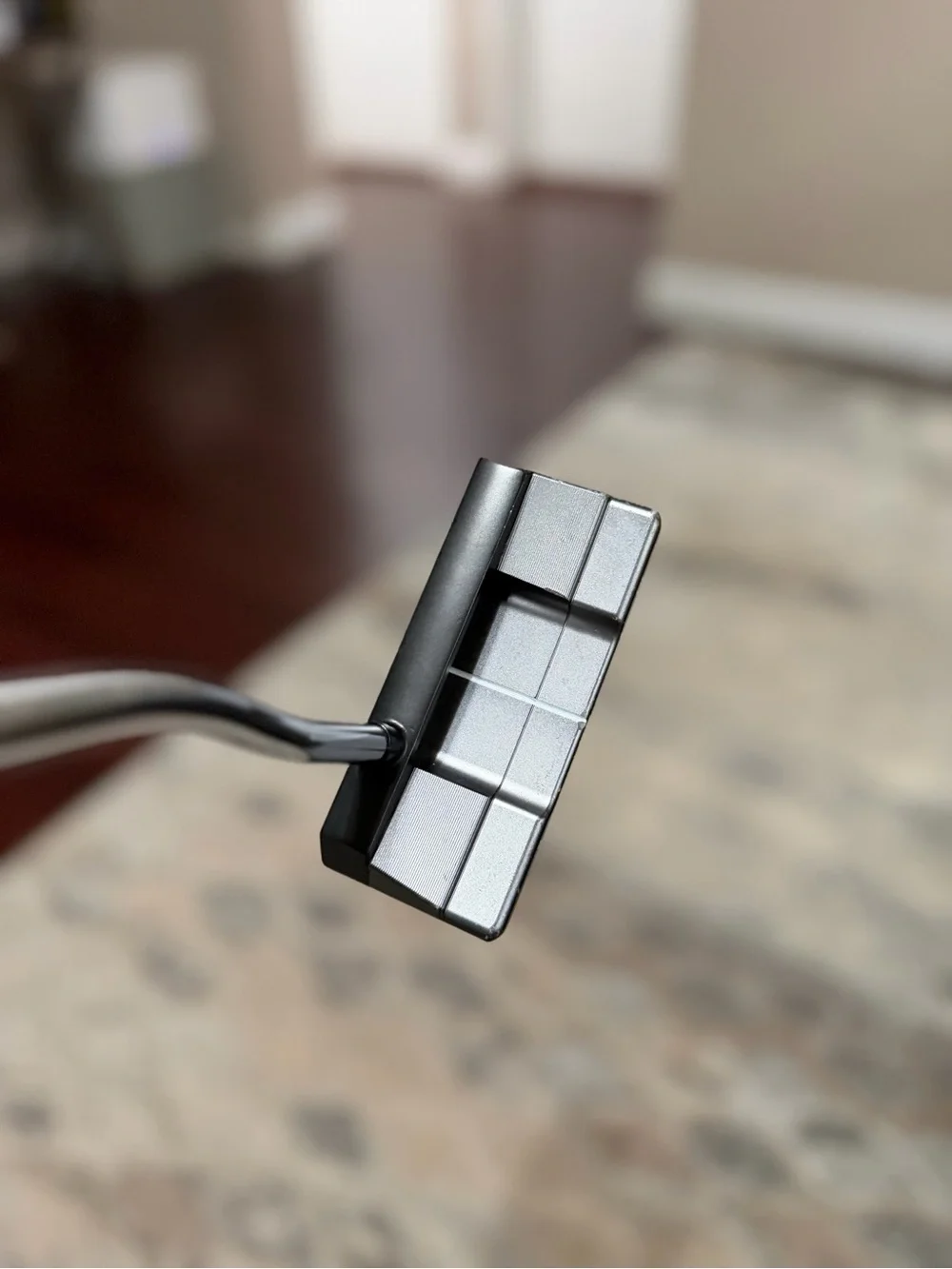 Lab stroke putter - Picture 3 of 5